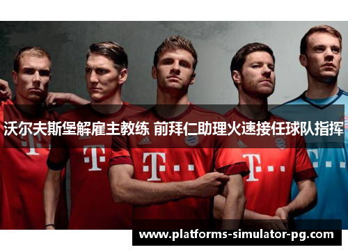 沃尔夫斯堡解雇主教练 前拜仁助理火速接任球队指挥 沃尔夫斯堡解雇主教练 前拜仁助理火速接任球队指挥